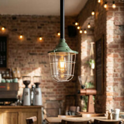 Conduit Pendant Light Kit Industrial Farmhouse Black Steel E27 Green Cage Fitting Ceiling Fixture 50Cm Length Without Bulb - thumbnail 2
