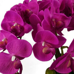 Leaf 85Cm Artificial Deluxe Bush Orchid - Dark Pink - thumbnail 5