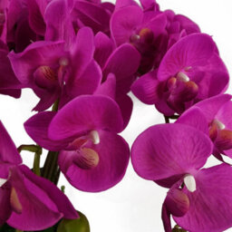 Leaf 85Cm Artificial Deluxe Bush Orchid - Dark Pink - thumbnail 3