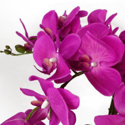 Leaf 85Cm Artificial Deluxe Bush Orchid - Dark Pink - thumbnail 2