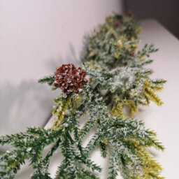 Samuel Alexander 160Cm Realistic Look Christmas Green Spruce Garland With Frosting And Plastic Pine Cones