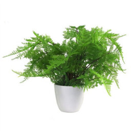 Artificial Fern Plant Pot Lady Fern 30Cm Leaf Design Uk Realistic Plants Botanik - thumbnail 1