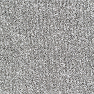 Remland Sennen Twist Bleach Cleanable Carpet (Silver, 3M X 4M)