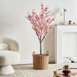 Wyld And Coco 152 Cm Artificial Cherry Blossom Tree With Cement Base, Pink Blossoms And Green Leaves, Indoor Decor - thumbnail 2