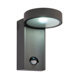 Anson Lighting Taupo Outdoor Pir Ip44 9W Cool White - thumbnail 1