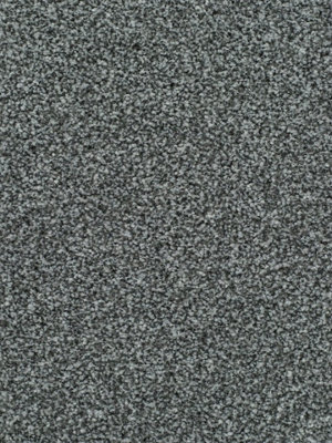 Devotion Gold Bleach Cleanable Carpet By Remland (Nickel, 2M X 4M)