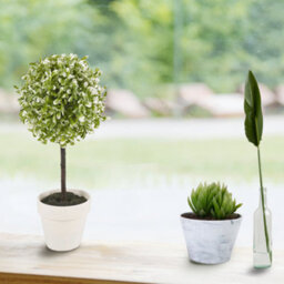 Urbn-Living Urbnliving 41Cm Height 2Pcs Decorative Artificial Outdoor Ball Green Plant Tree Pot Colour Large - thumbnail 1