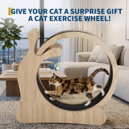 London Boutique Silent Cat Exercise Wheel For Indoor Cats, Wooden Treadmill With Removable Carpet, Scratching Board, Play Balls - thumbnail 5