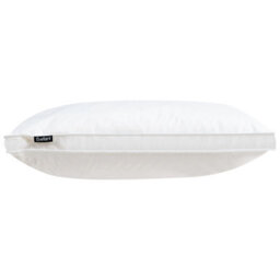 Wyld And Coco White Duck Down And Feather Pillows Set Of 2 50 X 60 Cm - High Loft Plush Support - thumbnail 5