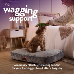 Slumberdown Padded Dog Bed: Cosy Comfort For A Happy Pup, Grey - thumbnail 3