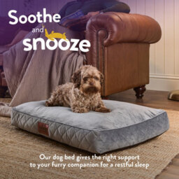 Slumberdown Padded Dog Bed: Cosy Comfort For A Happy Pup, Grey - thumbnail 4