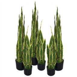 Leaf 55Cm Artificial Sansevieria Yellow Green Indoor Plant - thumbnail 2