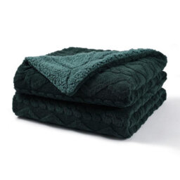 Pagnanno. Pagnanno Sherpa Teddy Fleece Blanket Fluffy Double Layered Bed And Sofa Throw For Families, Couples, Emerald Green, Double - thumbnail 1