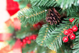 Shatchi 8Ft Pre-Lit Artificial Christmas Tree Fir Green Tips Red Berries Warm White Leds Xmas Home Decorations Metal Stand - thumbnail 3
