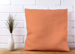 Warren Reed Designer Faded Orange Cushions 45Cm X 45Cm - thumbnail 2
