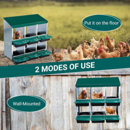 London Boutique 6 Compartment Chicken Nesting Box, Metal Roll Away Egg Laying Boxes, Perch And Ventilation, Green - thumbnail 6