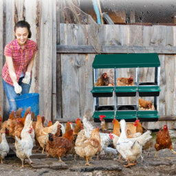 London Boutique 6 Compartment Chicken Nesting Box, Metal Roll Away Egg Laying Boxes, Perch And Ventilation, Green - thumbnail 7