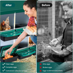 London Boutique 6 Compartment Chicken Nesting Box, Metal Roll Away Egg Laying Boxes, Perch And Ventilation, Green - thumbnail 3