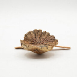 Handmade Parasite Wood Rising Sea Turtle Carving Coastal Wooden Ornament - thumbnail 5