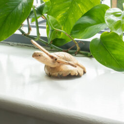 Handmade Parasite Wood Rising Sea Turtle Carving Coastal Wooden Ornament - thumbnail 4