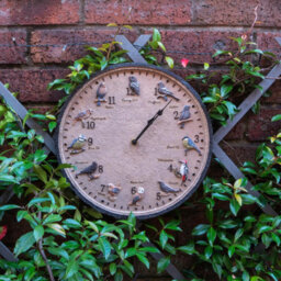 Wild Birds Design Indoor Or Outdoor Clock - Battery Powered Weather Resistant Wall Fence Clock For Home Or Garden - 30Cm Diameter - thumbnail 1