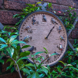 Wild Birds Design Indoor Or Outdoor Clock - Battery Powered Weather Resistant Wall Fence Clock For Home Or Garden - 30Cm Diameter - thumbnail 4