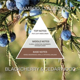 French Connection Large Scented Candle Jar - Black Cherry & Cedarwood - thumbnail 6