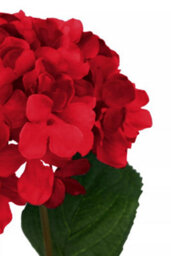 Orsina Hydrangea Stem - 74Cm Red, Rich Red Faux Bloom With Lush Petals And Green Foliage, Brings Warmth & Depth To - thumbnail 8