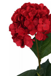 Orsina Hydrangea Stem - 74Cm Red, Rich Red Faux Bloom With Lush Petals And Green Foliage, Brings Warmth & Depth To - thumbnail 7