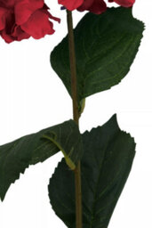 Orsina Hydrangea Stem - 74Cm Red, Rich Red Faux Bloom With Lush Petals And Green Foliage, Brings Warmth & Depth To - thumbnail 9