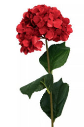 Orsina Hydrangea Stem - 74Cm Red, Rich Red Faux Bloom With Lush Petals And Green Foliage, Brings Warmth & Depth To - thumbnail 6