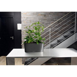 Lechuza Delta 20 Charcoal Metallic Plastic Self-Watering Planter With Substrate And Water Level Indicator H18 L40 W15 Cm - thumbnail 3
