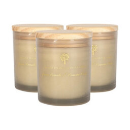 Nicola Spring 3X Green Pomelo & Passion Fruit Scented Candles 130G 21H Natural Single Soy Wax Aromatherapy Candle Home Fragrance