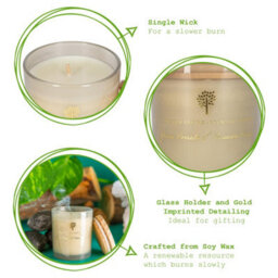 Nicola Spring 3X Green Pomelo & Passion Fruit Scented Candles 130G 21H Natural Single Soy Wax Aromatherapy Candle Home Fragrance - thumbnail 2
