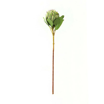 Hill Interiors Protea Green Faux Plant Large - image 1