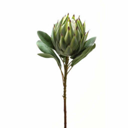 Hill Interiors Protea Green Faux Plant Large - thumbnail 3