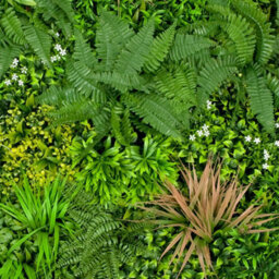 Greenbrokers Artificial Green Plant Wall Hedge With Mixed Green Pink Leaf Foliage-Uv Stable (Pack Of 1) (1M X 1M) - thumbnail 3