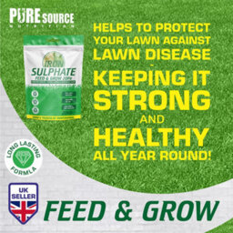 Iron Sulphate 500G - Makes Grass Greener, Hardens Turf And Prevents Lawn Disease Makes Upto 500L & Covers Upto 500M2 By Psn - thumbnail 6