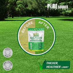 Iron Sulphate 500G - Makes Grass Greener, Hardens Turf And Prevents Lawn Disease Makes Upto 500L & Covers Upto 500M2 By Psn - thumbnail 4