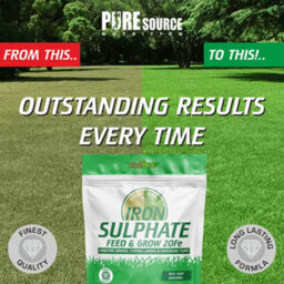 Iron Sulphate 500G - Makes Grass Greener, Hardens Turf And Prevents Lawn Disease Makes Upto 500L & Covers Upto 500M2 By Psn - thumbnail 3