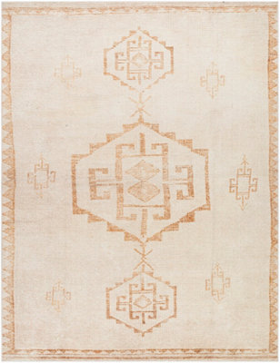 Livabliss Becki Owens Solana-Global Orange Ivory Living Dining Bedroom Rug 160 X 213 Cm Easy Care, Non Shedding - image 1