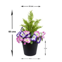 GreenBrokers Pink & Purple Petunia Black Patio Planter 60Cm/24In - thumbnail 3