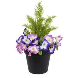 GreenBrokers Pink & Purple Petunia Black Patio Planter 60Cm/24In - thumbnail 1