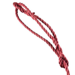 Ropeservices Uk 14mm Red Polypropylene Plain Rope Halter X 6 Foot - thumbnail 3