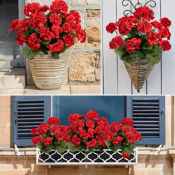 Artificial Geranium Flower Bouquets, Outdoor Artificial Flowers, Fake Flowers And Plants, Uv Resistant, Red - thumbnail 4
