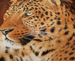 3D Wildlife Animals Printed Designs Luxurious Super Soft Blanket For Sofa Warm & Cozy Throws Faux Fur Reversible Leopard 150 X 200 - thumbnail 3