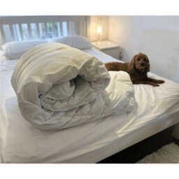 Clifton Double Easy Care Duvet - 10.5 Tog - thumbnail 1