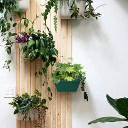 42Cm Wall Hanging Planter Plastic Venetian Flower Pot Forest Green Garden Basket - thumbnail 2