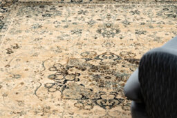 RugsX Wool Carpet Polonia Kordoba25 Rosette, Frame Sepia 300X400 Cm - thumbnail 5