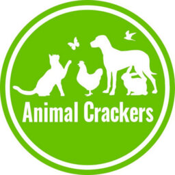 Animal Crackers 'groovy Art' Cat Figurine, Bright Colour Novelty Design Home Decoration, Height 22Cm - thumbnail 7